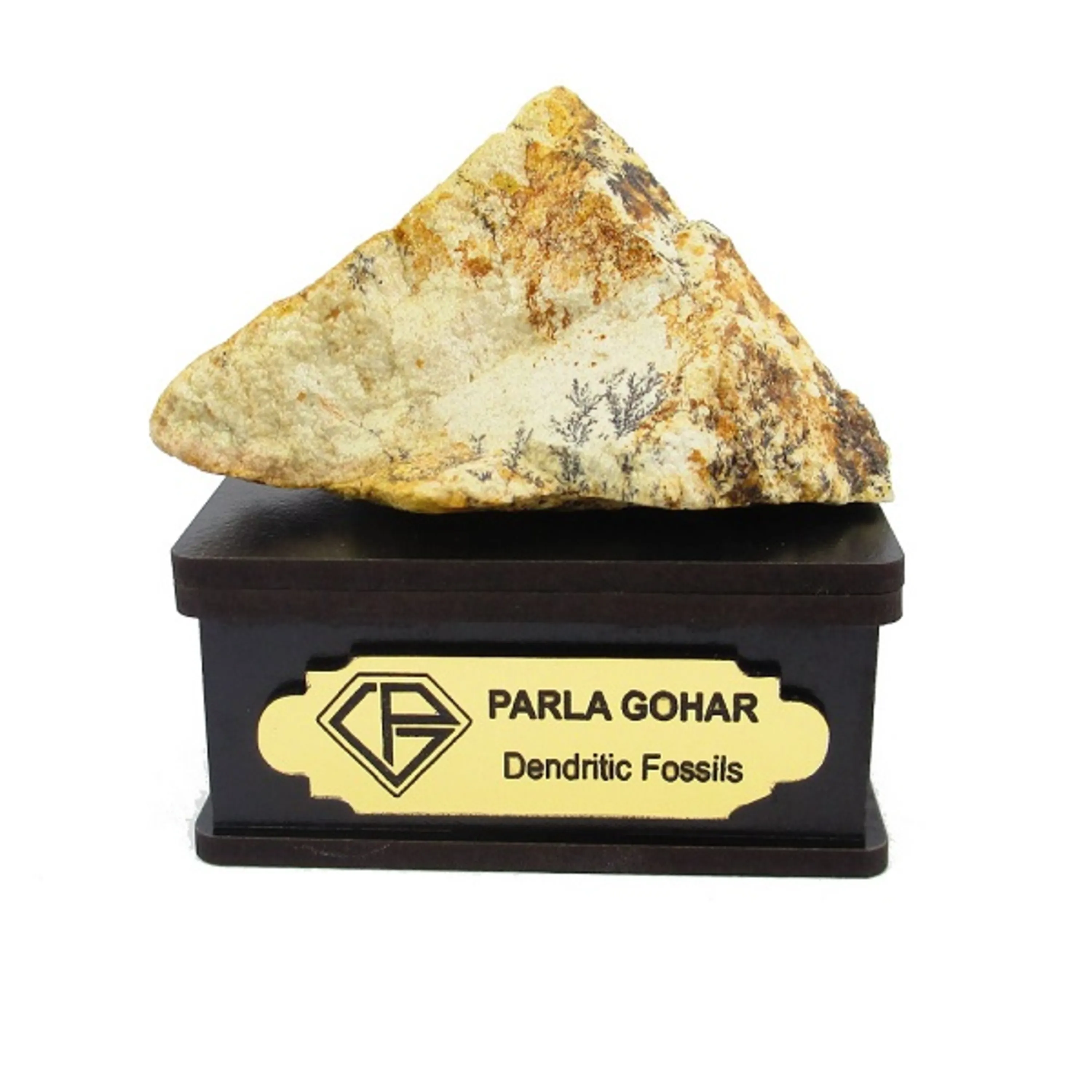 شجر راف کد 2359